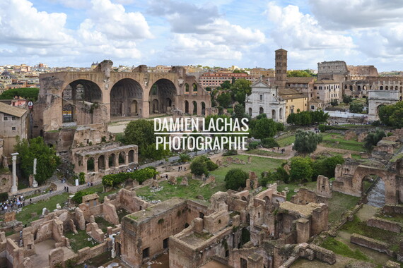 rome colline palatine 003