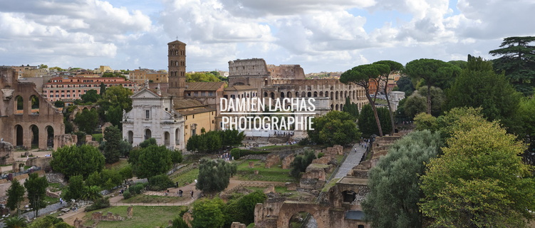 rome colline palatine 005