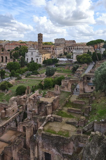 rome colline palatine 006