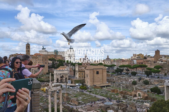 rome colline palatine 009