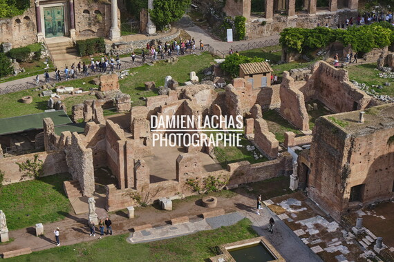 rome colline palatine 012