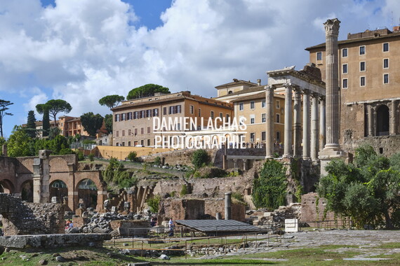 rome colline palatine 025