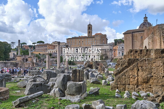rome colline palatine 030