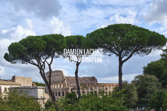 rome collise 023