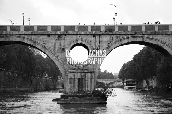 rome fleuve tibre 009