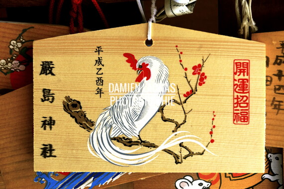 japon kyoto 029