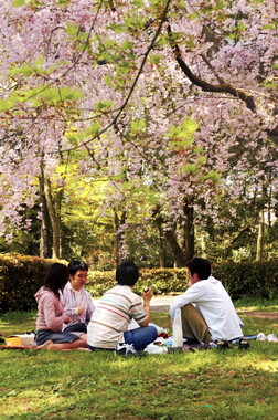 japon kyoto 042
