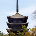 japon kyoto nara 005