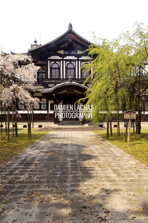 japon_kyoto_nara_008.jpg