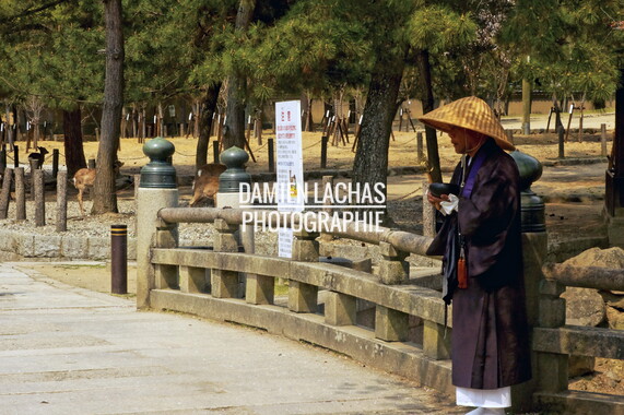 japon kyoto nara 010