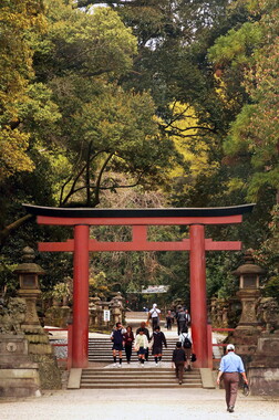 japon kyoto nara 011