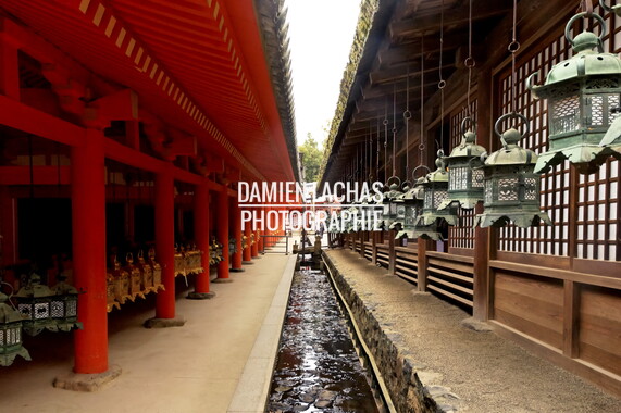japon kyoto nara 014