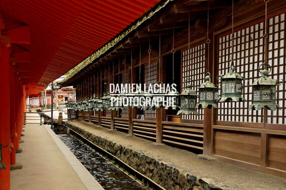 japon kyoto nara 016