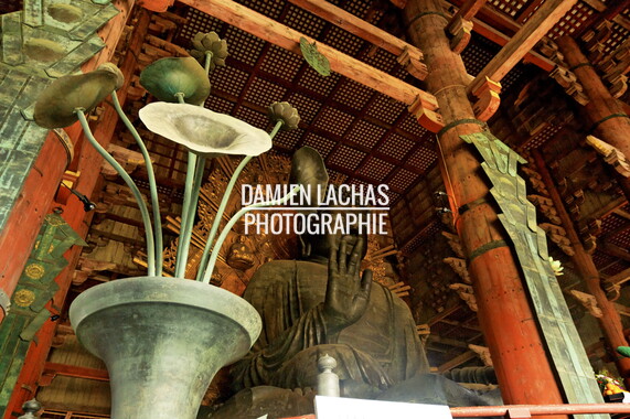 japon kyoto nara big buddha 007