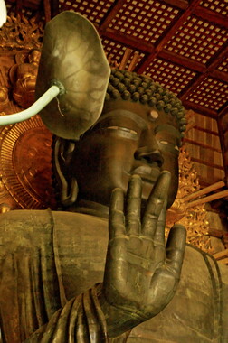 japon kyoto nara big buddha 008
