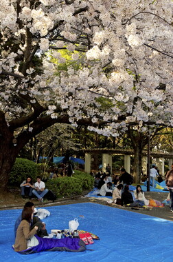 japon tokyo fete park ueno 005