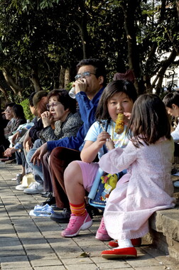 japon tokyo fete park ueno 015