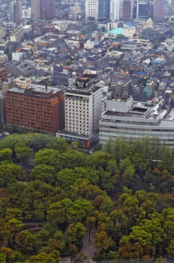 japon tokyo mairie quartier shinjuku 016
