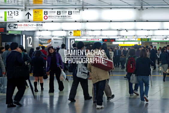 japon tokyo shibuya station 003