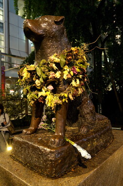 japon tokyo shibuya station 011