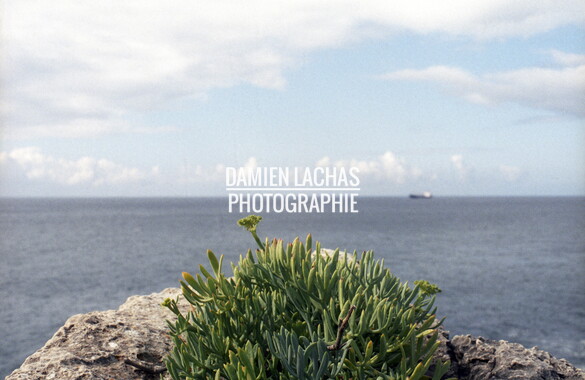 dl lisbonne bateaux 006