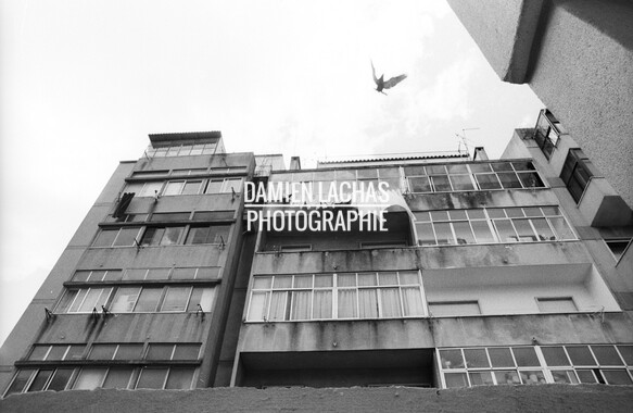 dl lisbonne ville 002