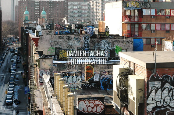 dl new york graphik 011