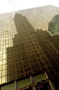 dl new york graphik 035