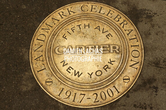 dl new york graphik 041