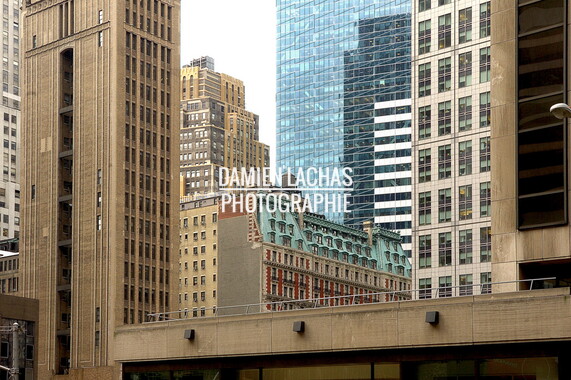 dl new york graphik 042