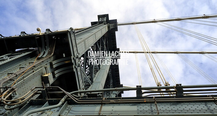 dl new york graphik 045