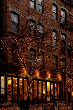 dl new york shop 005