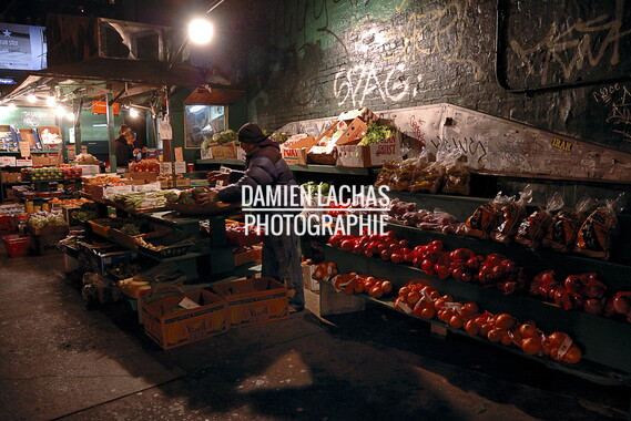 dl new york shop 009