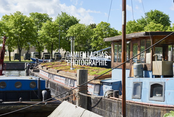 pays-bas aout2014 amsterdam 0019