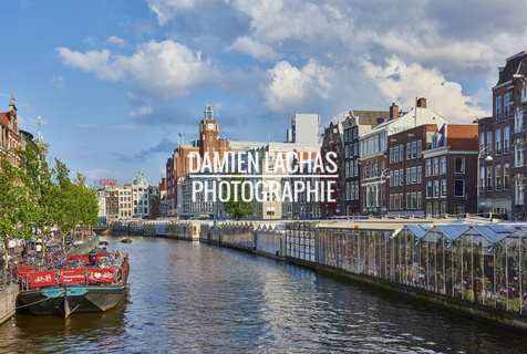 pays-bas aout2014 amsterdam 0119