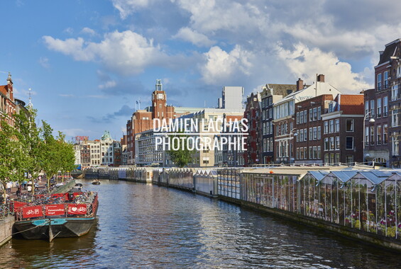 pays-bas aout2014 amsterdam 0119