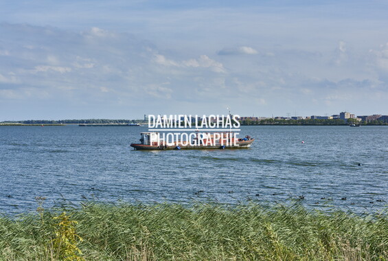 pays-bas aout2014 durgerdam 010