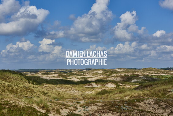 pays-bas aout2014 egmond-ann-see 008