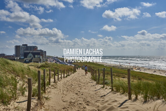 pays-bas aout2014 egmond-ann-see 011