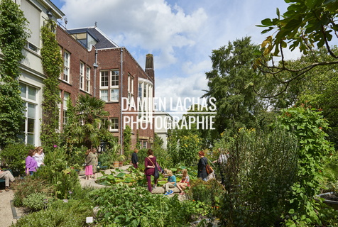 pays-bas aout2014 jardin des plantes 001