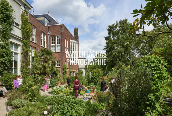 pays-bas aout2014 jardin des plantes 001