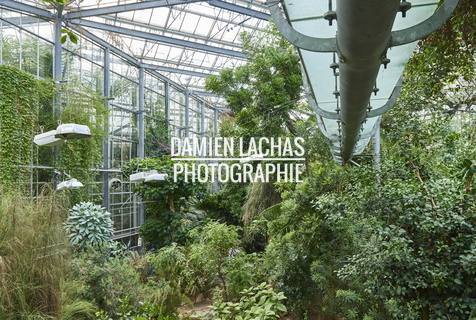 pays-bas aout2014 jardin des plantes 040