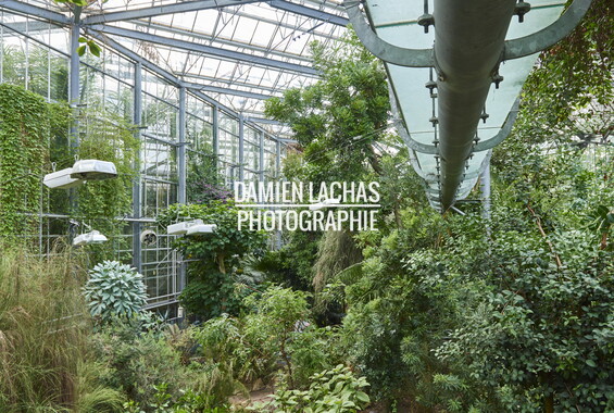 pays-bas aout2014 jardin des plantes 040