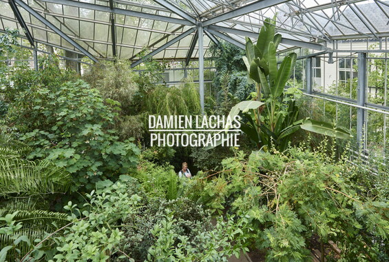 pays-bas aout2014 jardin des plantes 043