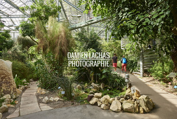 pays-bas aout2014 jardin des plantes 051