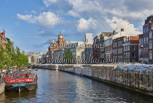 pays-bas aout2014 amsterdam 0119